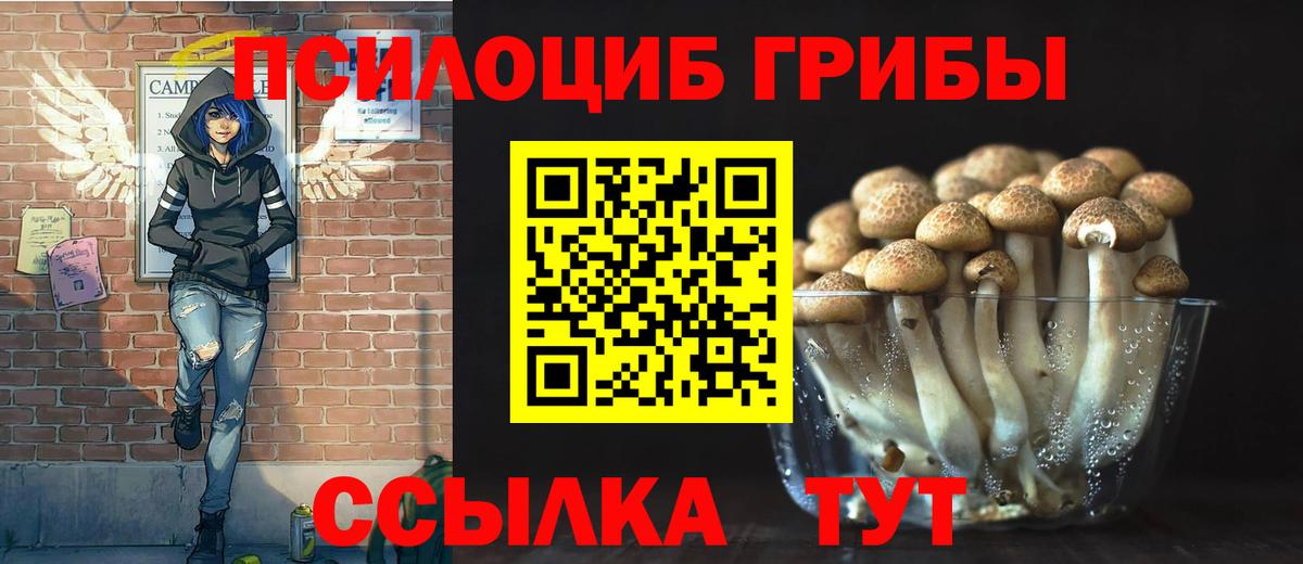 Калач-на-Дону  Галлюциногенные грибы мухоморы  Вход с VPN 